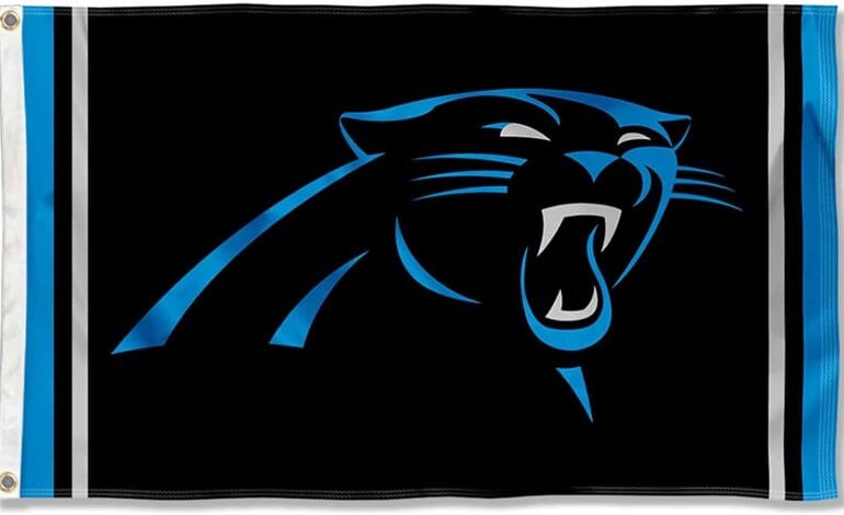 Carolina Panthers Large 3×5 Flag