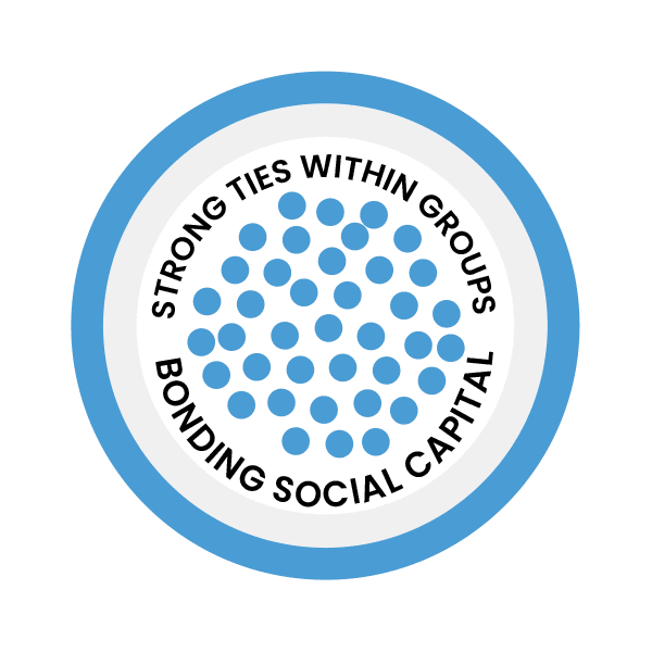 Social Capital: Unleash Community & Economic Power. Your Essential Guide. | Vibe NC