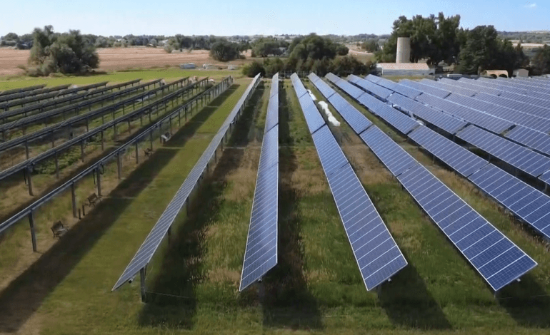 Pushback grows over North Carolina decision to pause solar projects :: WRAL.com