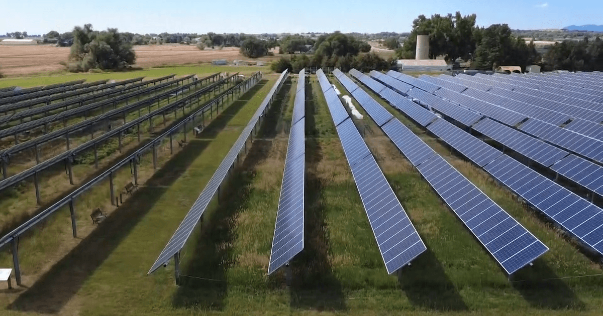 Pushback grows over North Carolina decision to pause solar projects :: WRAL.com
