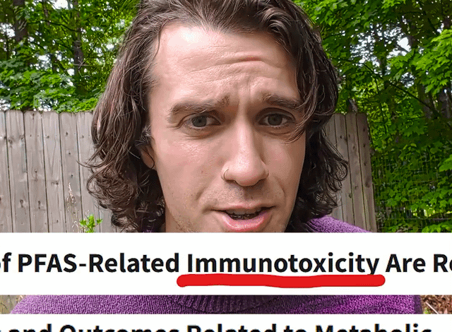 Create a 10-word scroll-stopping headline for: EPA plans to reverse and delay their regulations for PFAS (Forever Chemicals) | Vibe NC