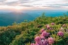 Create a 10-word scroll-stopping headline for: Me and my wife recently visited your beautiful state | Vibe NC