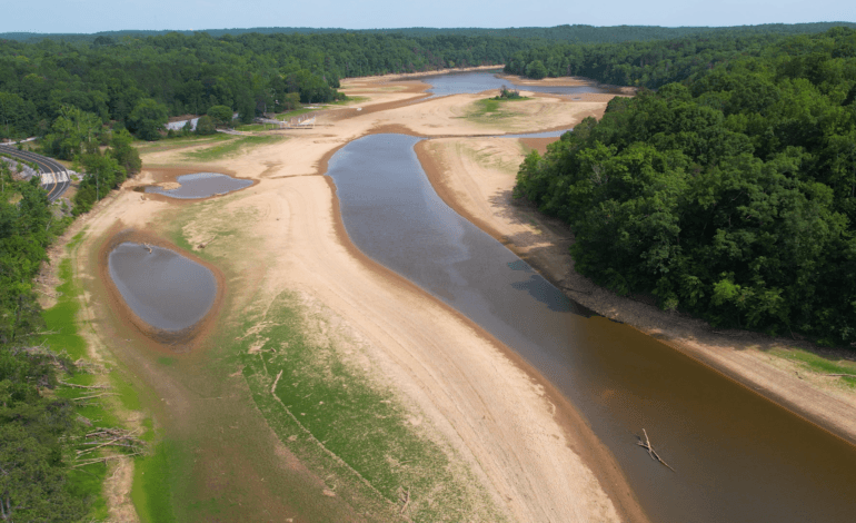 Create a 10-word scroll-stopping headline for: Talking with a Climatologist About the Triangle’s Ongoing Drought | Vibe NC