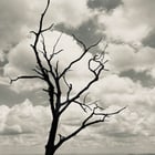 Create a 10-word scroll-stopping headline for: I feel profoundly grateful to live here. | Vibe NC