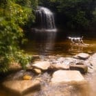 Create a 10-word scroll-stopping headline for: Some recent North Carolina photos | Vibe NC