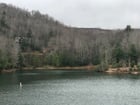Create a 10-word scroll-stopping headline for: NC Hiking is top notch | Vibe NC