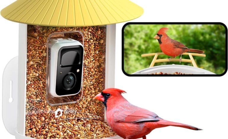 Here are a few options, playing with different angles:

Discover Wild Birds Live! AI Camera Streams Your Backyard.
Never Miss A Bird! AI Camera Auto-Captures Wildlife Live.
Your Backyard Bird Show! AI Camera Streams Live, Captures Videos.
AI Bird Feeder: Watch Wild Birds Live, Auto-Capture Videos.
Smart AI Camera Feeder: Live Stream & Auto-Capture Every Bird.
 | Vibe NC