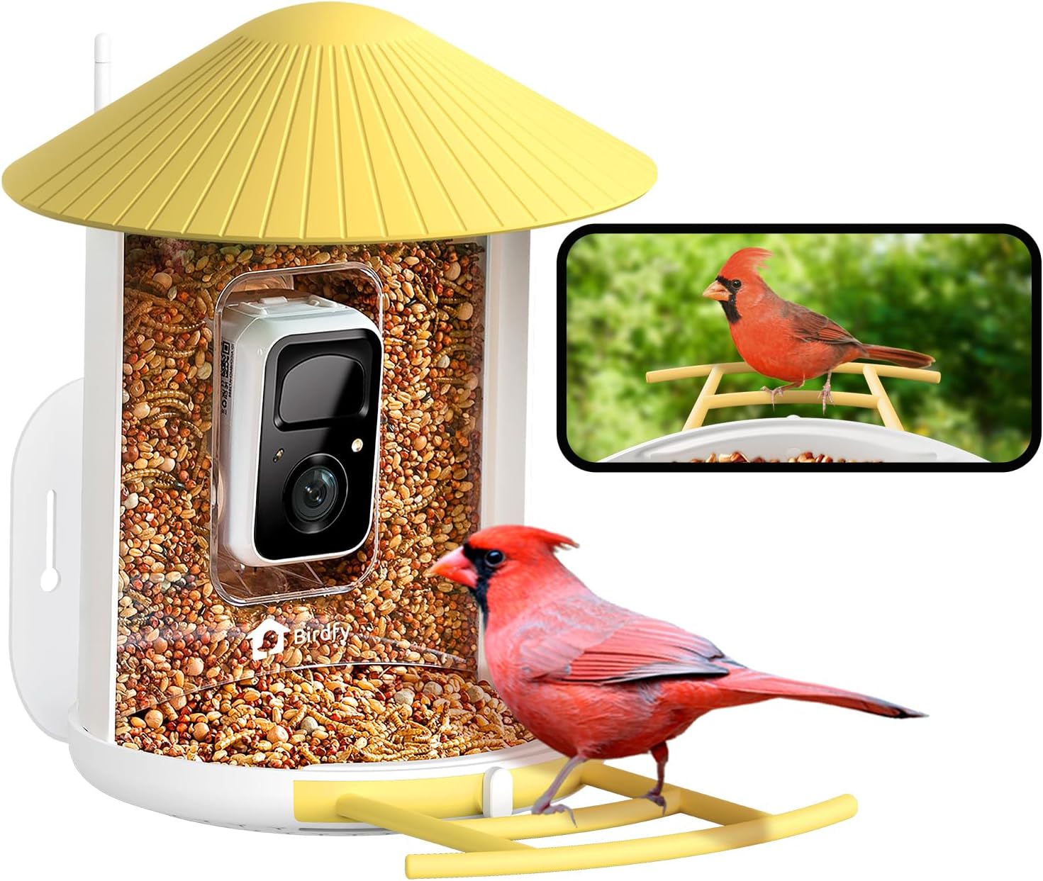 Here are a few options, playing with different angles:

Discover Wild Birds Live! AI Camera Streams Your Backyard.
Never Miss A Bird! AI Camera Auto-Captures Wildlife Live.
Your Backyard Bird Show! AI Camera Streams Live, Captures Videos.
AI Bird Feeder: Watch Wild Birds Live, Auto-Capture Videos.
Smart AI Camera Feeder: Live Stream & Auto-Capture Every Bird.
 | Vibe NC