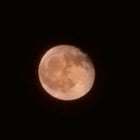 Create a 10-word scroll-stopping headline for: My first attempt at a moon shot – strawberry moon | Vibe NC