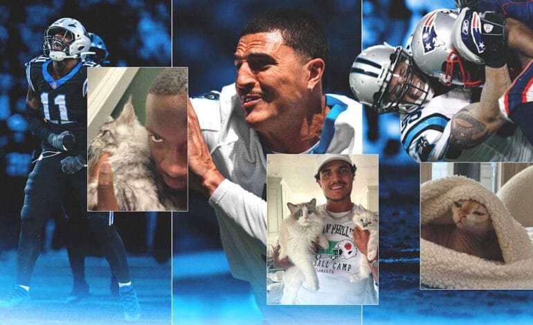 Panthers’ Toughest Dawgs? They’re Actually Cat Daddies. Stop The Scroll. | Vibe NC