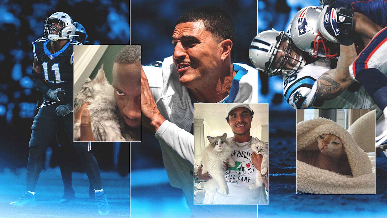 Panthers’ Toughest Dawgs? They’re Actually Cat Daddies. Stop The Scroll. | Vibe NC